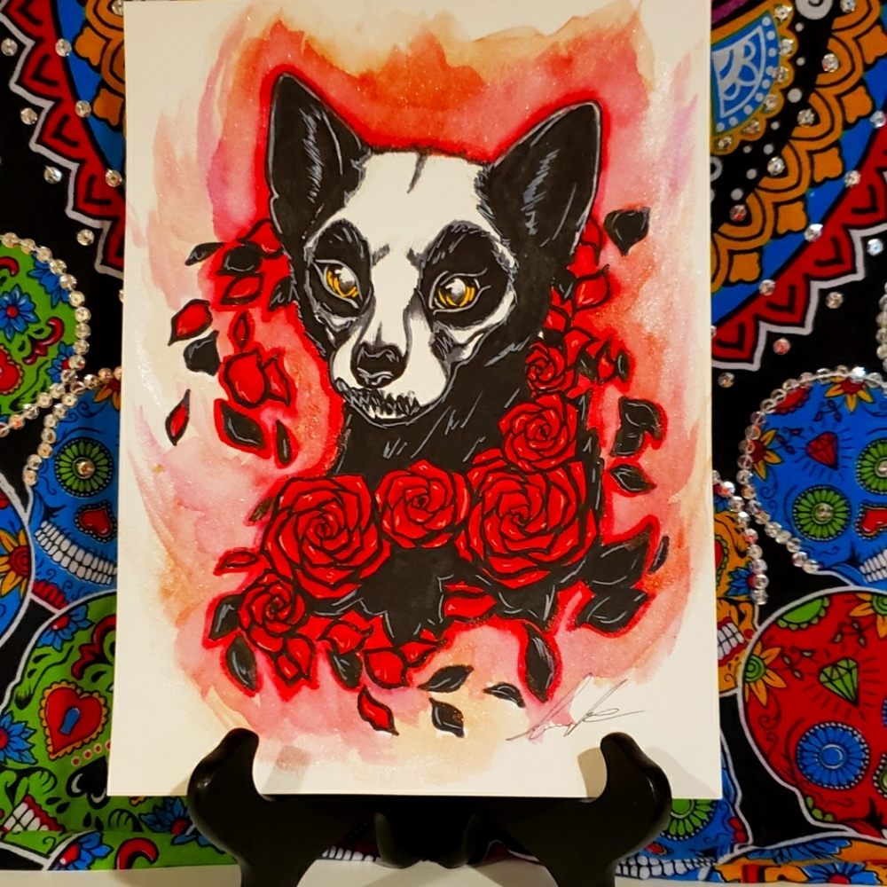 Skull cat
